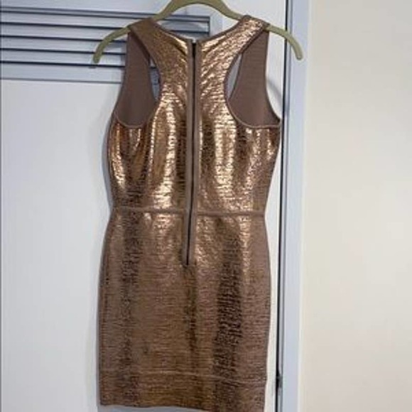 BCBGMAXAZRIA Gisela Rose Gold Mini Dress - Picture 5 of 6